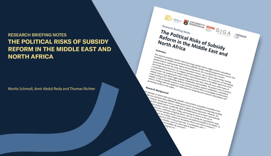 The Political Risks of Subsidy Reform in the Middle East and North Africa