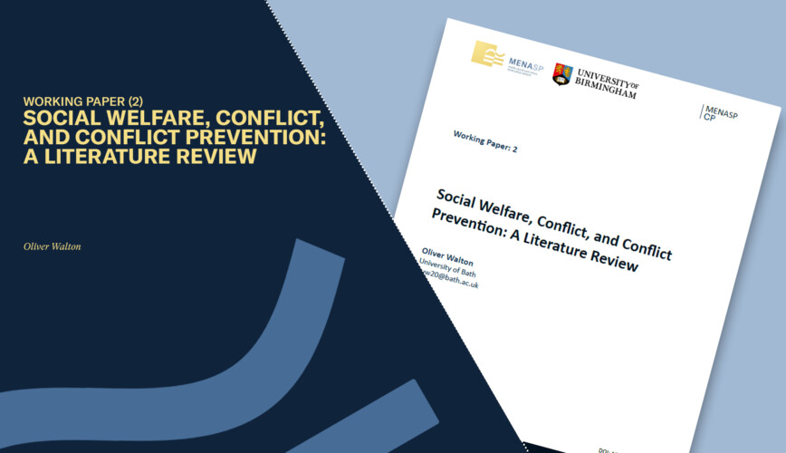 Social Welfare, Conflict, and Conflict Prevention: A Literature Review
